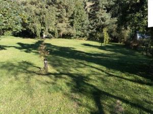 Prodej pozemku pro bydlení, Rudná pod Pradědem, 2762 m2