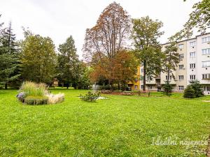 Pronájem bytu 2+kk, Praha - Strašnice, V olšinách, 38 m2