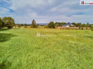 Prodej pozemku pro bydlení, Františkovy Lázně - Slatina, 6597 m2