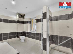 Prodej rodinného domu, Rokytnice nad Jizerou - Horní Rokytnice, 440 m2