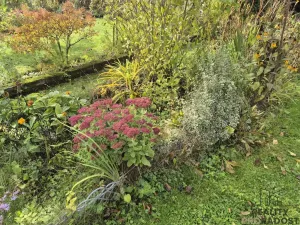 Prodej chaty, Třinec, Kaštanová, 30 m2