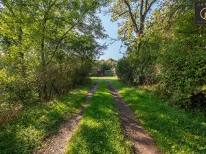 Prodej pozemku pro bydlení, Tachlovice, Mlýnská, 16910 m2