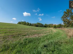 Prodej pozemku pro bydlení, Tachlovice, Mlýnská, 16910 m2
