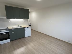 Pronájem bytu 1+kk, Ústí nad Labem - Severní Terasa, Pod Parkem, 21 m2