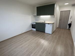 Pronájem bytu 1+kk, Ústí nad Labem - Severní Terasa, Pod Parkem, 21 m2