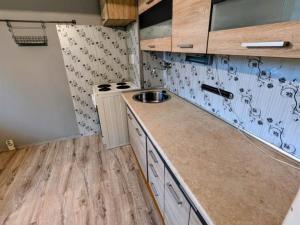 Prodej bytu 2+1, Teplice, Alejní, 49 m2