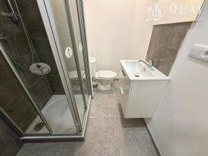 Pronájem bytu 1+kk, Jirkov, Studentská, 20 m2