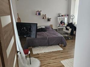 Pronájem bytu 1+1, Odry, 1. máje, 35 m2