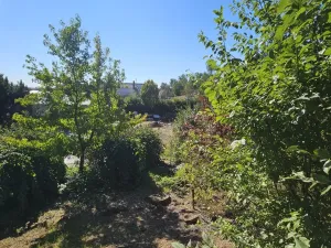 Prodej pozemku pro bydlení, Ústí nad Labem, 1231 m2