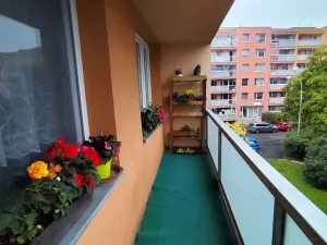 Prodej bytu 3+1, Mělník, Sportovní, 69 m2