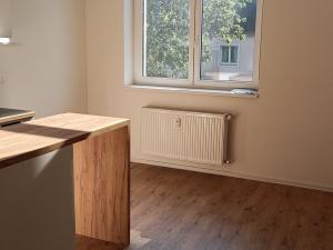 Pronájem bytu 1+kk, Ostrava, Palackého, 22 m2