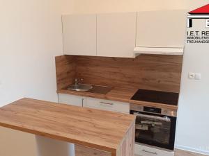 Pronájem bytu 1+kk, Ostrava, Palackého, 22 m2