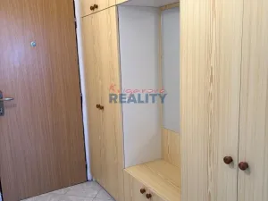 Prodej bytu 3+1, České Budějovice - České Budějovice 3, Čéčova, 63 m2