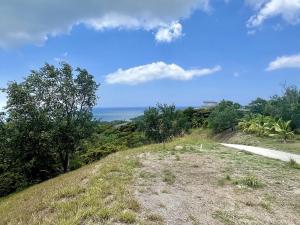 Prodej pozemku pro bydlení, Camp Bay,Honduras, 740 m2