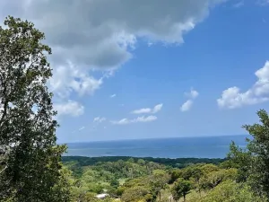 Prodej pozemku pro bydlení, Camp Bay,Honduras, 740 m2