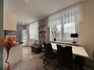 Pronájem bytu 3+1, Ostrava, Svojsíkova, 63 m2