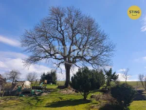 Prodej rodinného domu, Fryšava pod Žákovou horou, 98 m2