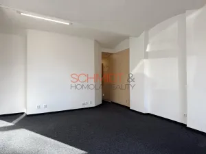 Pronájem obchodního prostoru, Hustopeče, Janáčkova, 29 m2