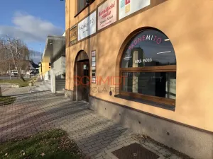Pronájem obchodního prostoru, Hustopeče, Janáčkova, 29 m2