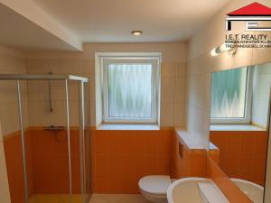 Prodej rodinného domu, Frýdlant nad Ostravicí, Snozina, 286 m2