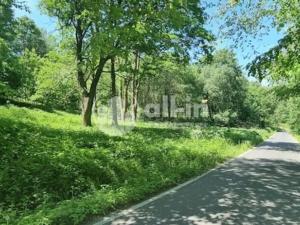 Prodej pozemku pro bydlení, Malá Morava - Vysoký Potok, 1411 m2