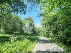 Prodej pozemku pro bydlení, Malá Morava - Vysoký Potok, 1411 m2