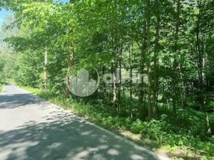 Prodej pozemku pro bydlení, Malá Morava - Vysoký Potok, 1411 m2