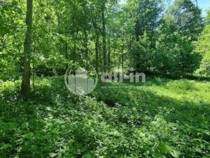 Prodej pozemku pro bydlení, Malá Morava - Vysoký Potok, 1411 m2