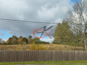 Prodej pozemku pro bydlení, Dětřichov nad Bystřicí, 3937 m2