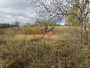 Prodej pozemku pro bydlení, Dětřichov nad Bystřicí, 3937 m2