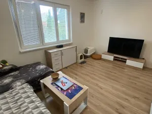 Prodej bytu 2+1, Zlín, Padělky III, 59 m2