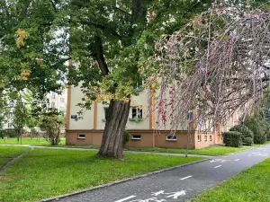 Prodej bytu 2+1, Zlín, Padělky III, 59 m2