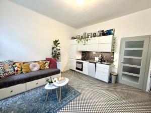 Pronájem bytu 1+kk, Praha - Vinohrady, Velehradská, 30 m2