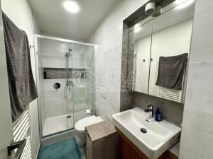 Pronájem bytu 1+kk, Praha - Vinohrady, Velehradská, 30 m2