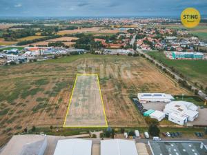 Prodej komerčního pozemku, Mikulovice - Blato, 6059 m2