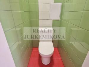 Pronájem bytu 1+kk, České Budějovice - České Budějovice 3, Skuherského, 25 m2