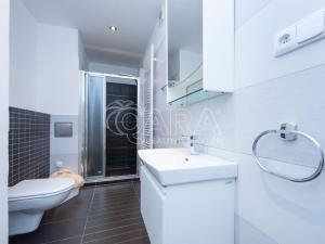 Pronájem bytu 5+kk, Praha, Mánesova, 146 m2