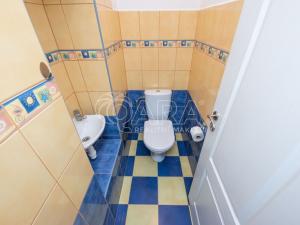 Pronájem bytu 5+kk, Praha, Mánesova, 146 m2