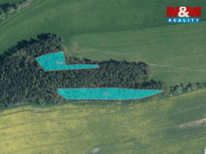 Prodej lesa, Močerady - Nové Dvory, 6098 m2