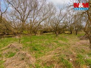 Prodej louky, Strašín, 2200 m2