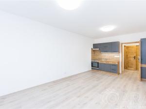 Pronájem bytu 1+kk, Tábor, Havanská, 29 m2