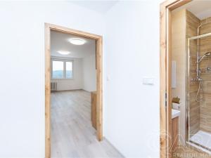 Pronájem bytu 1+kk, Tábor, Havanská, 29 m2