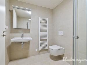 Pronájem bytu 2+kk, Brno, Bystrcká, 49 m2