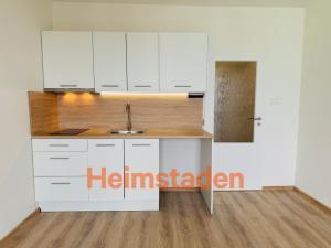 Pronájem bytu 1+kk, Ostrava - Zábřeh, Petruškova, 28 m2