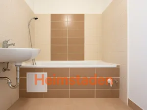 Pronájem bytu 1+1, Frýdek-Místek - Místek, Anenská, 33 m2