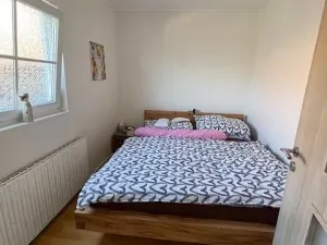 Pronájem rodinného domu, Letonice, 7070 m2