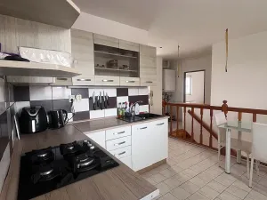 Pronájem rodinného domu, Letonice, 7070 m2