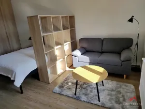 Pronájem bytu 1+1, Děčín - Děčín III-Staré Město, Žerotínova, 51 m2