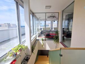 Pronájem obchodního prostoru, Brno - Lesná, Majdalenky, 214 m2
