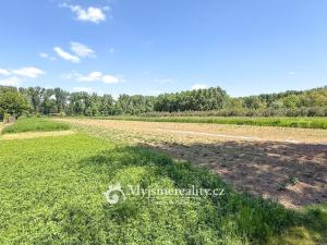 Prodej pozemku, Znojmo - Oblekovice, 8172 m2